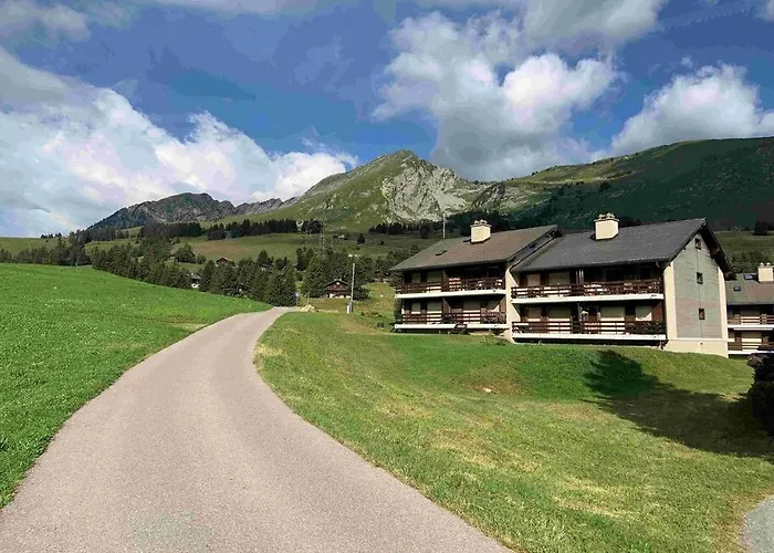 A9 - Les Myosotis 莱莫斯