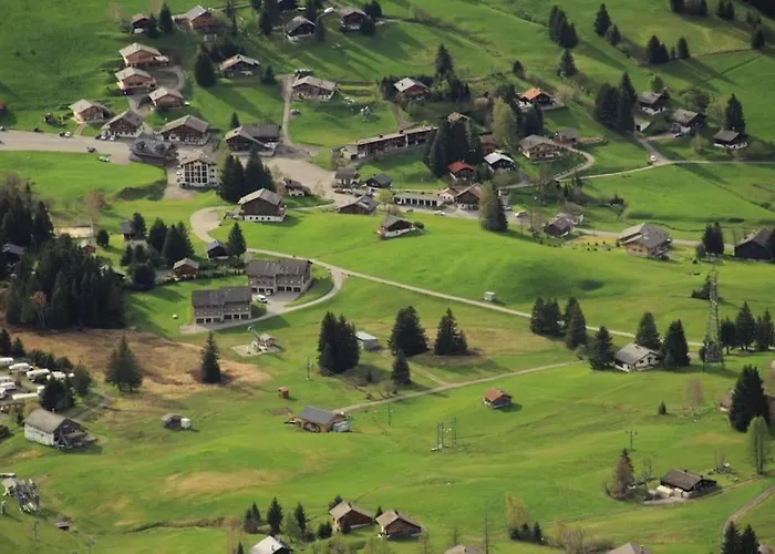 A9 - Les Myosotis Appartement Les Mosses