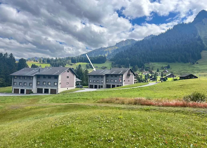 A9 - Les Myosotis Apartment Les Mosses