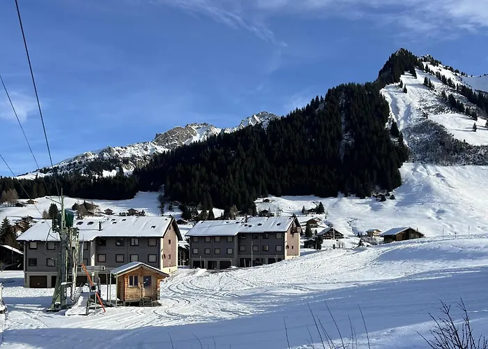 A9 - Les Myosotis Appartement