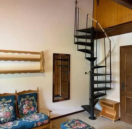 A9 - Les Myosotis * Les Mosses